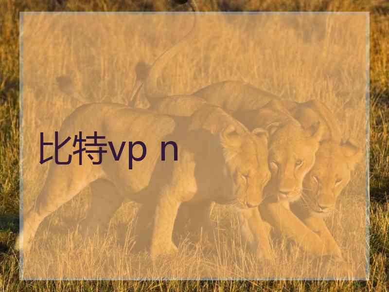 比特vp n