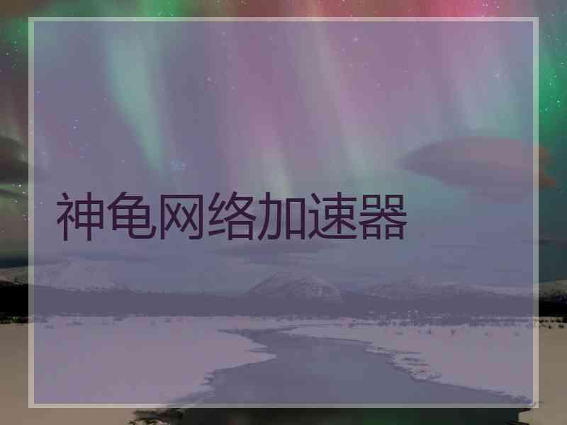 神龟网络加速器