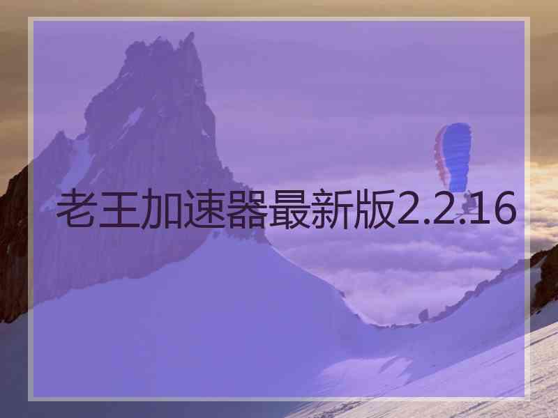 老王加速器最新版2.2.16