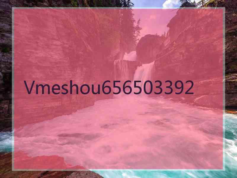 Vmeshou656503392