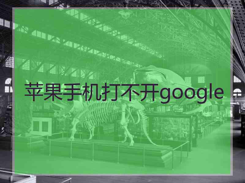 苹果手机打不开google