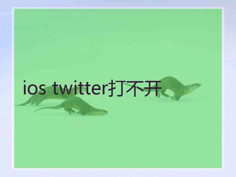 ios twitter打不开