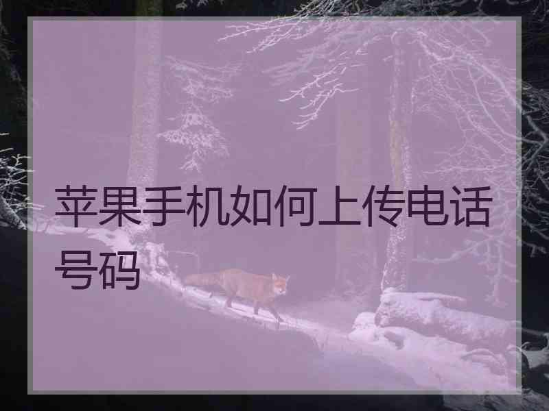 苹果手机如何上传电话号码