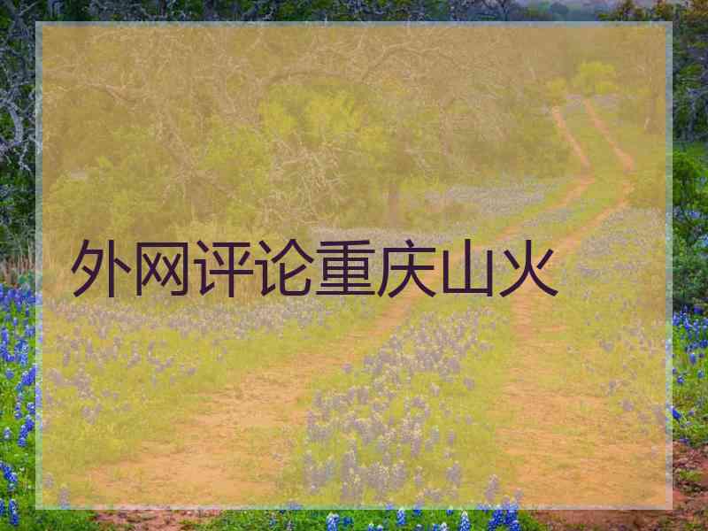 外网评论重庆山火