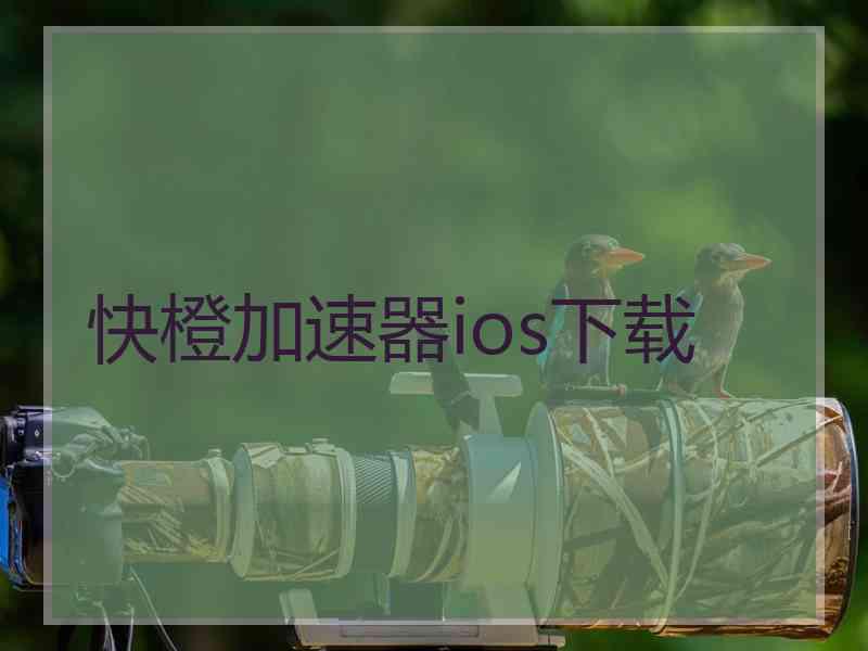 快橙加速器ios下载