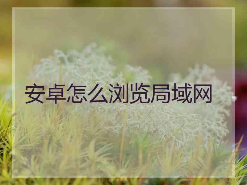 安卓怎么浏览局域网