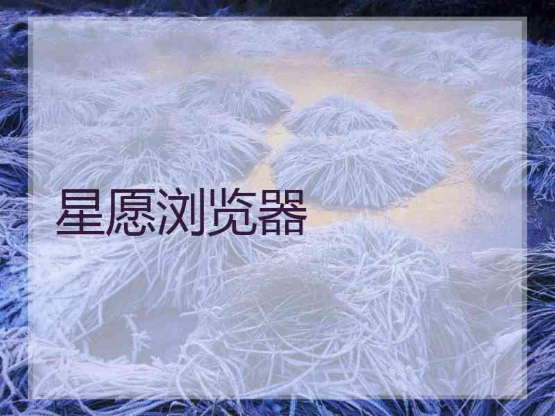 星愿浏览器