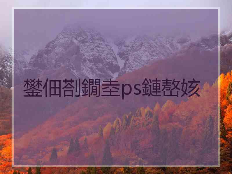 鐢佃剳鐗坴ps鏈嶅姟