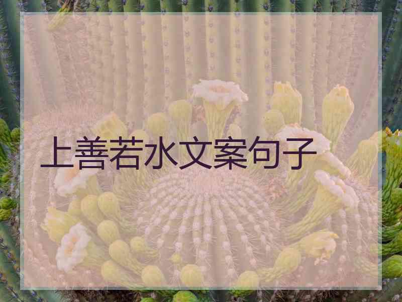 上善若水文案句子