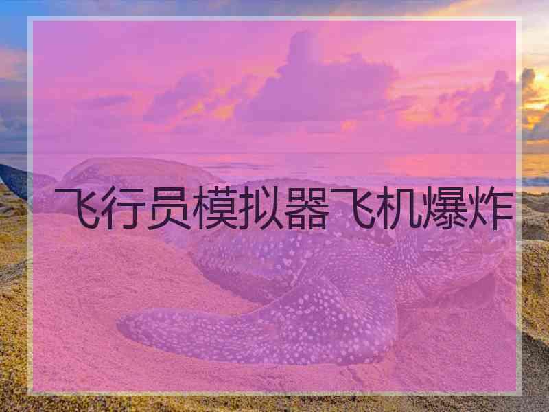 飞行员模拟器飞机爆炸