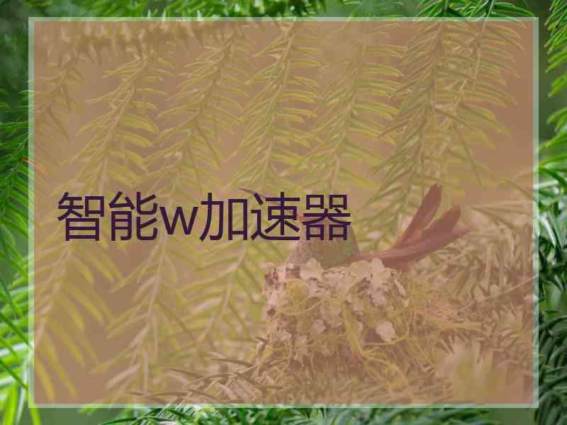 智能w加速器