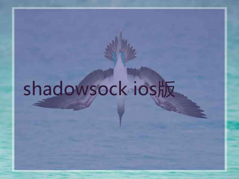 shadowsock ios版