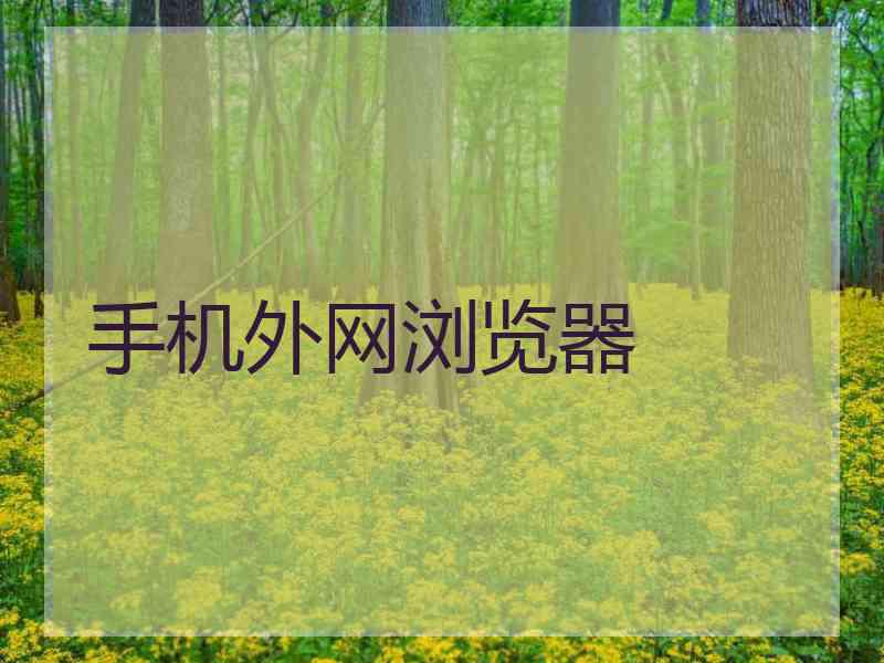 手机外网浏览器