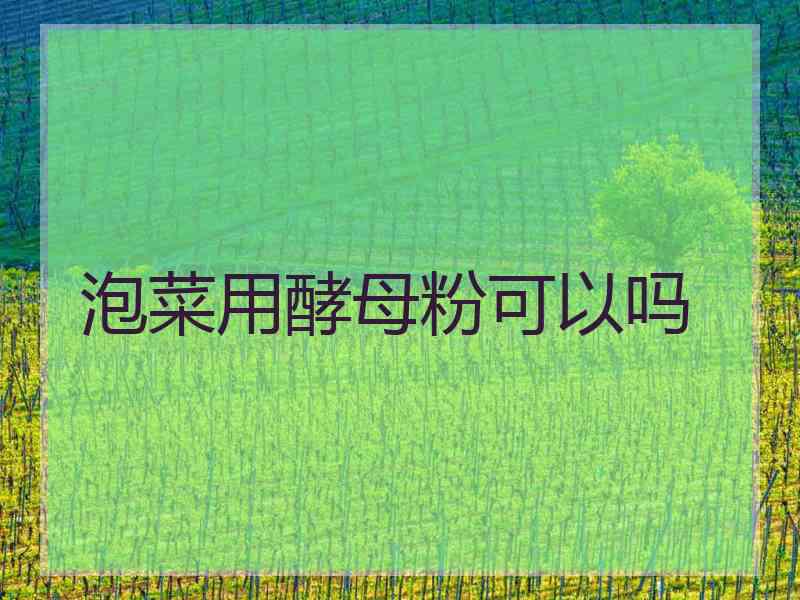 泡菜用酵母粉可以吗