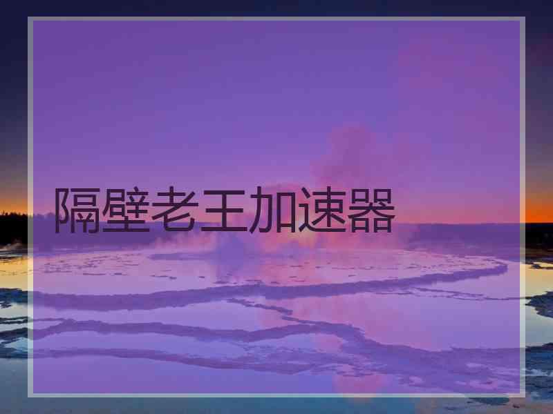 隔壁老王加速器