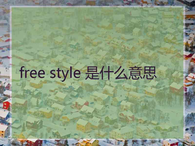 free style 是什么意思