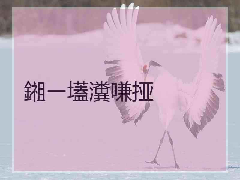 鎺ㄧ壒瀵嗛挜