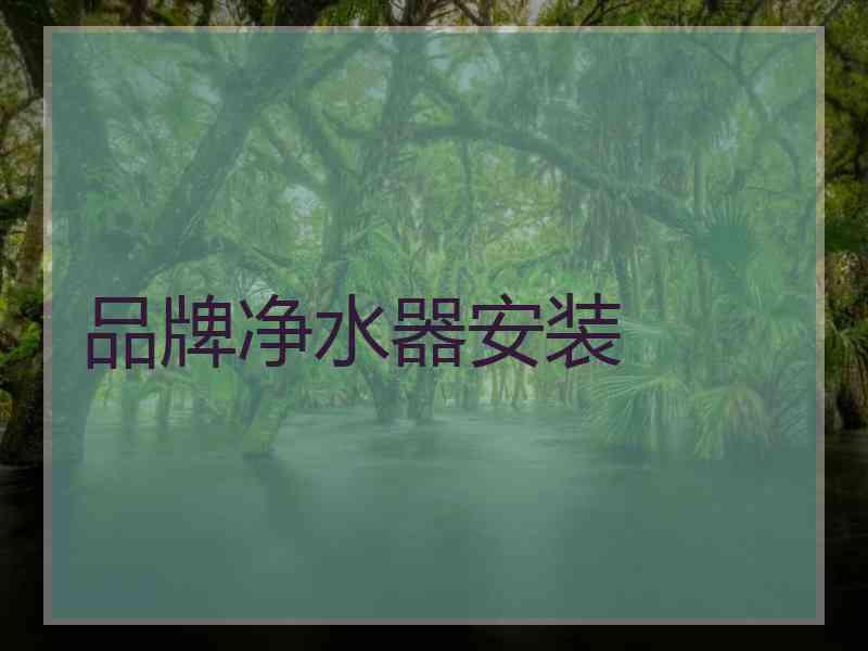 品牌净水器安装