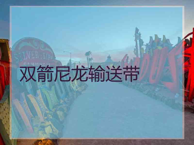 双箭尼龙输送带