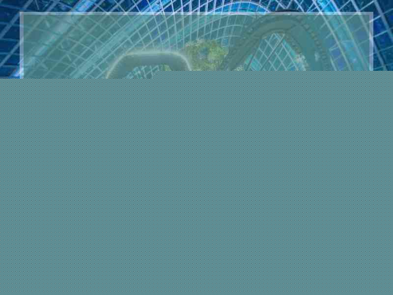 佛跳墙∨pn