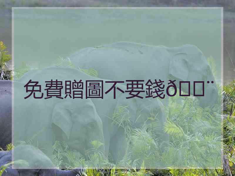 免費贈圖不要錢💨
