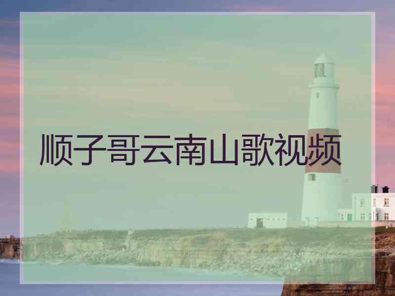 顺子哥云南山歌视频