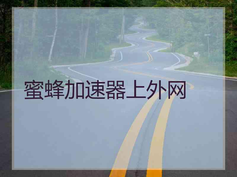 蜜蜂加速器上外网