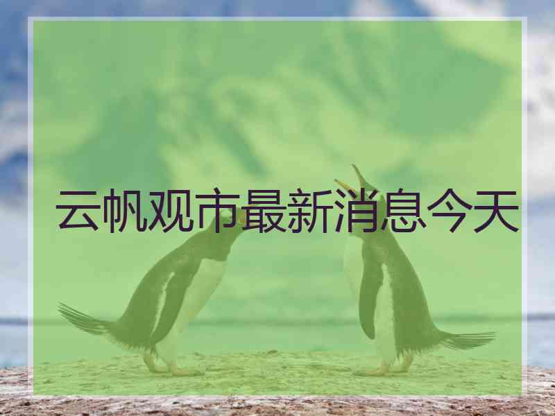云帆观市最新消息今天