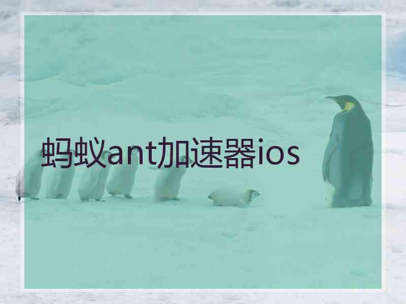 蚂蚁ant加速器ios