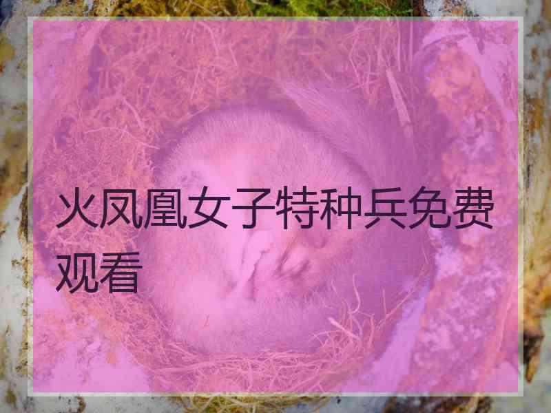 火凤凰女子特种兵免费观看