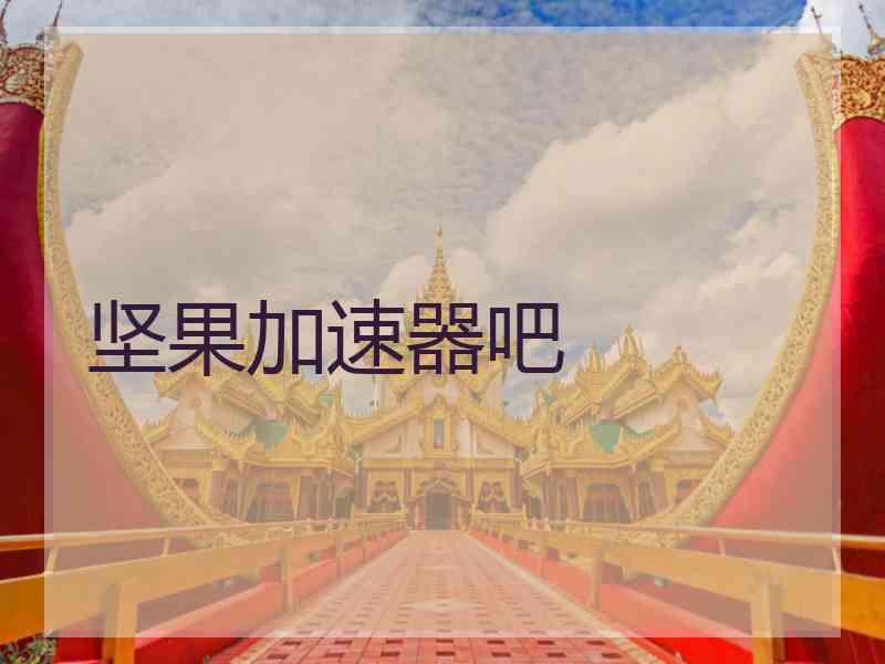 坚果加速器吧