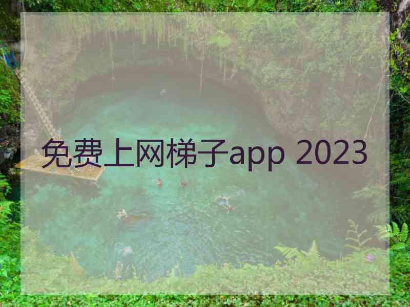 免费上网梯子app 2023