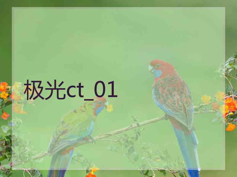 极光ct_01