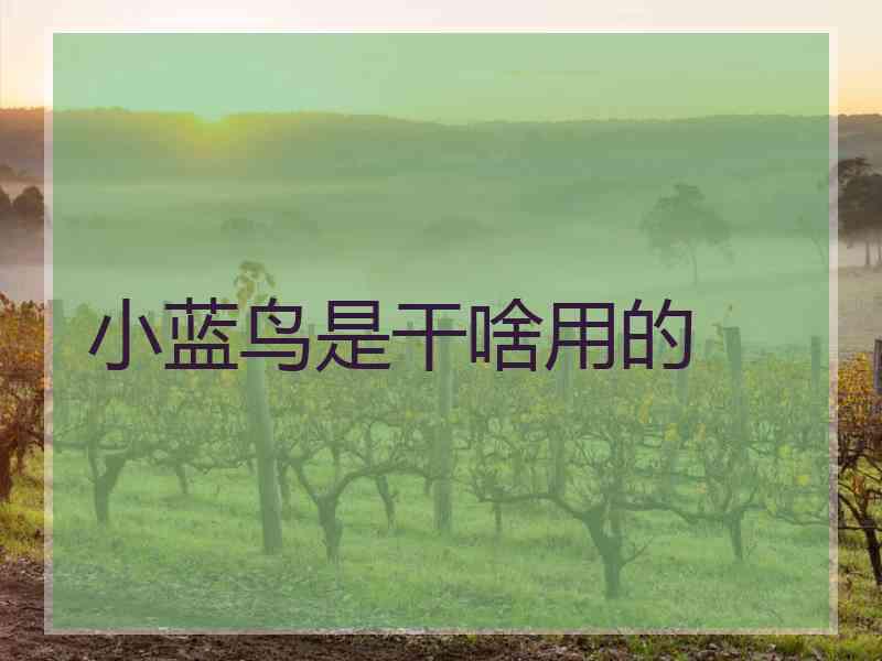 小蓝鸟是干啥用的