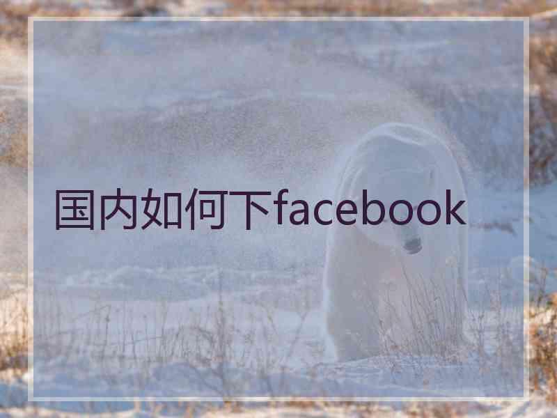 国内如何下facebook