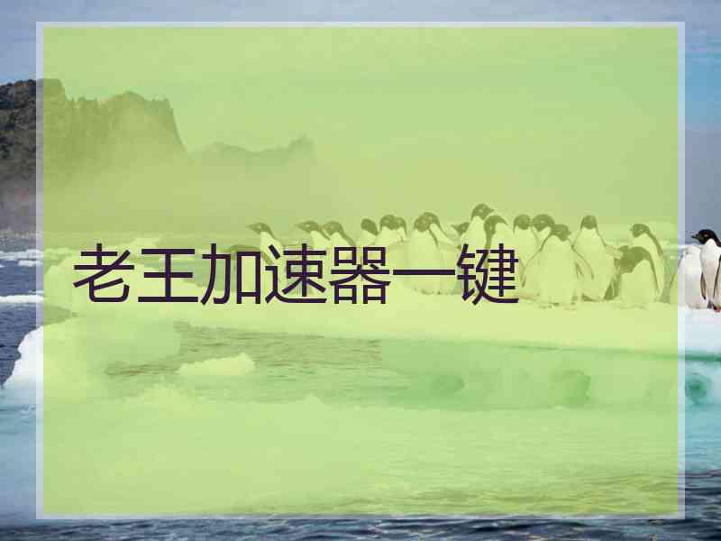 老王加速器一键