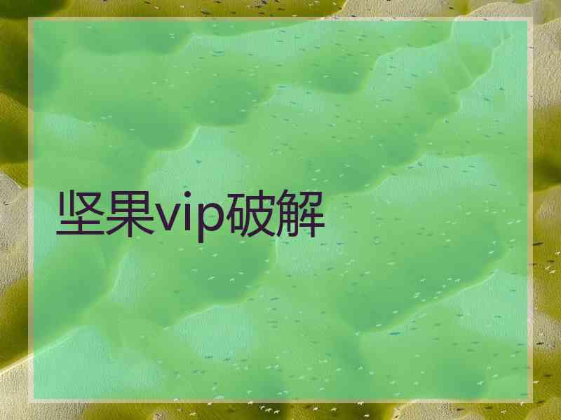 坚果vip破解