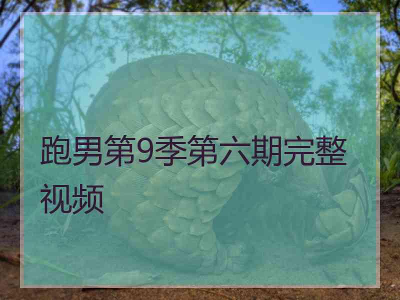 跑男第9季第六期完整视频