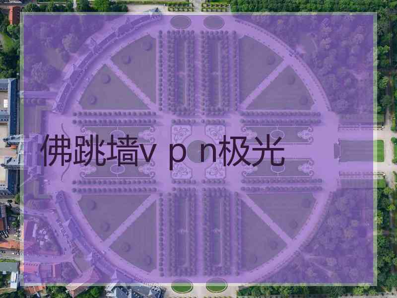 佛跳墙v p n极光