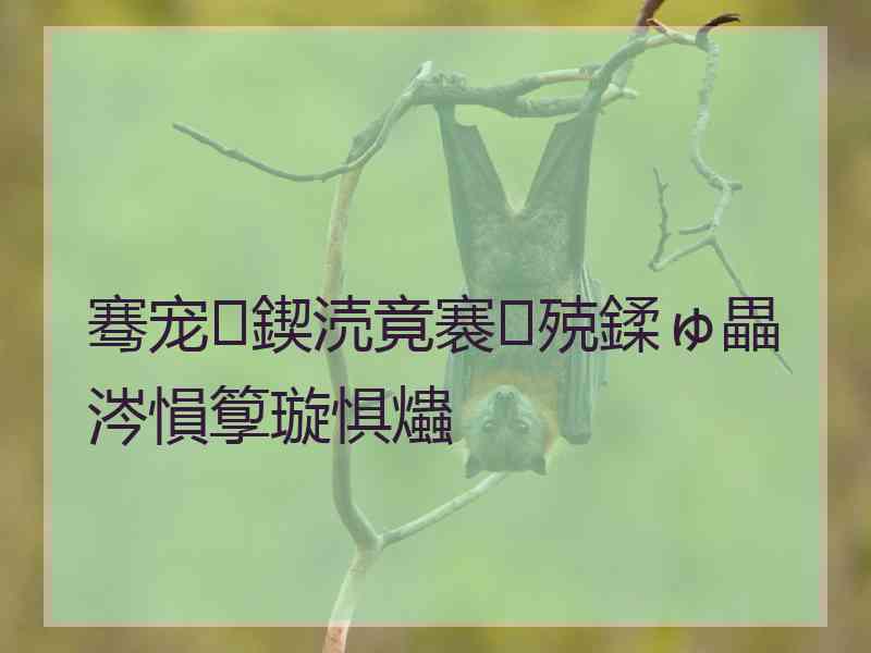 骞宠鍥涜竟褰㈢殑鍒ゅ畾涔愪箰璇惧爞