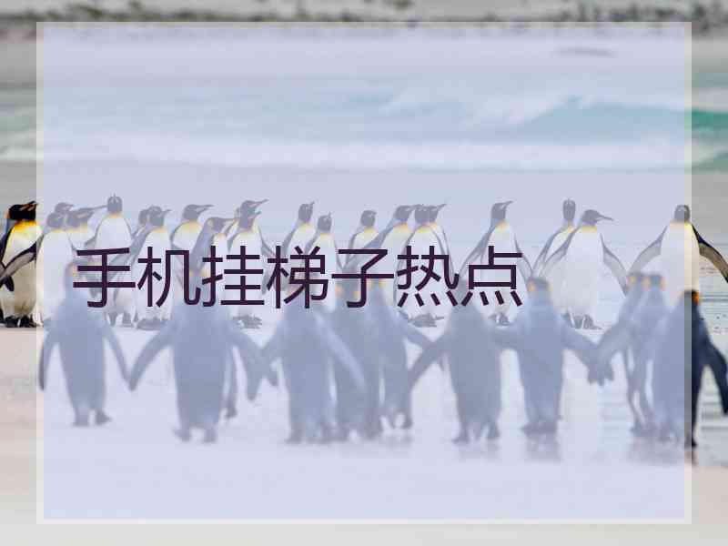 手机挂梯子热点