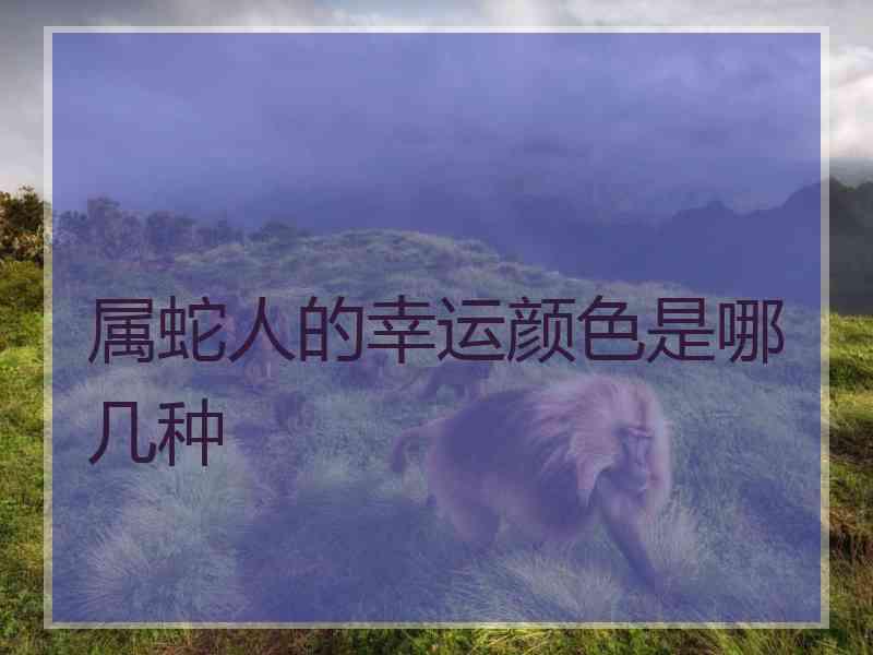 属蛇人的幸运颜色是哪几种