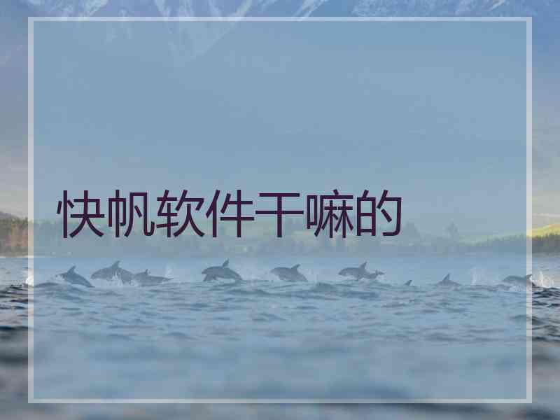 快帆软件干嘛的