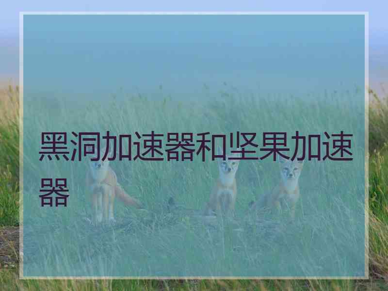 黑洞加速器和坚果加速器