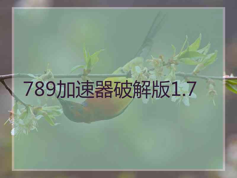 789加速器破解版1.7