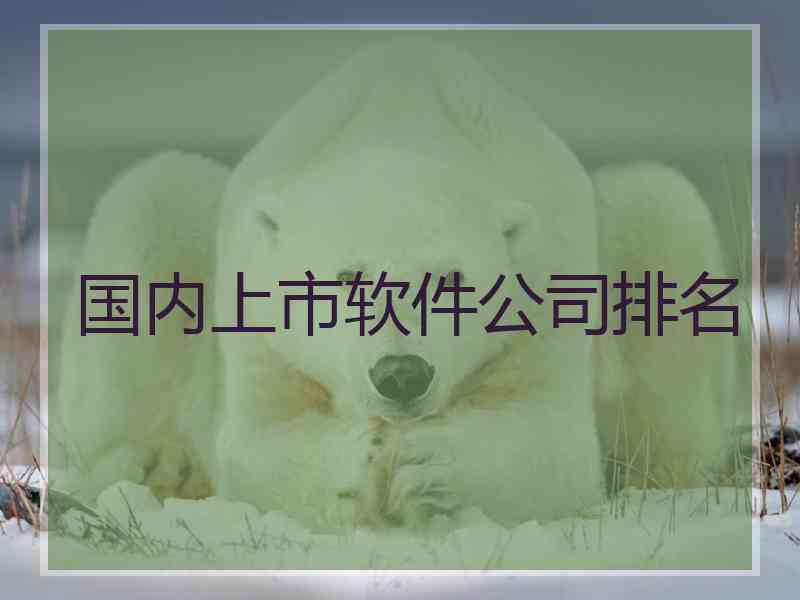 国内上市软件公司排名