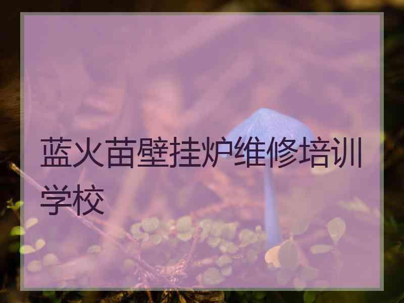 蓝火苗壁挂炉维修培训学校