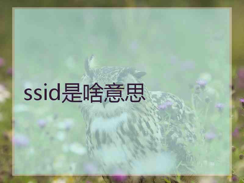ssid是啥意思