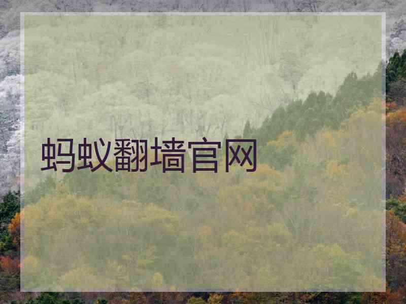 蚂蚁翻墙官网