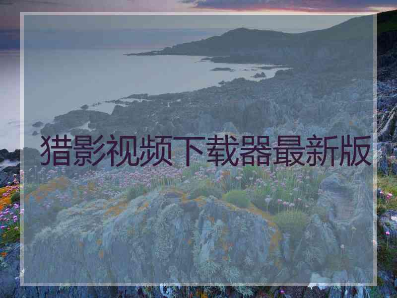 猎影视频下载器最新版